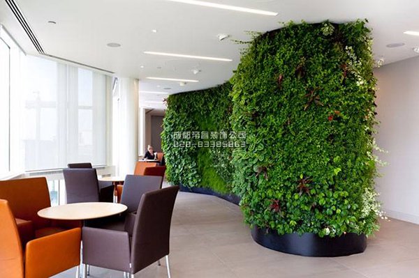 辦公室裝修完以后擺放什么綠植好？